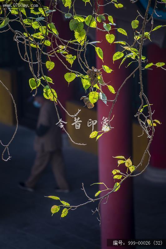 玉台寺_玉台寺,旅游景点