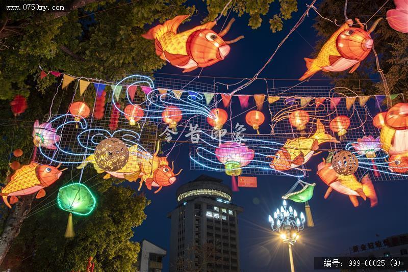 鱼灯_鱼灯,传统文化