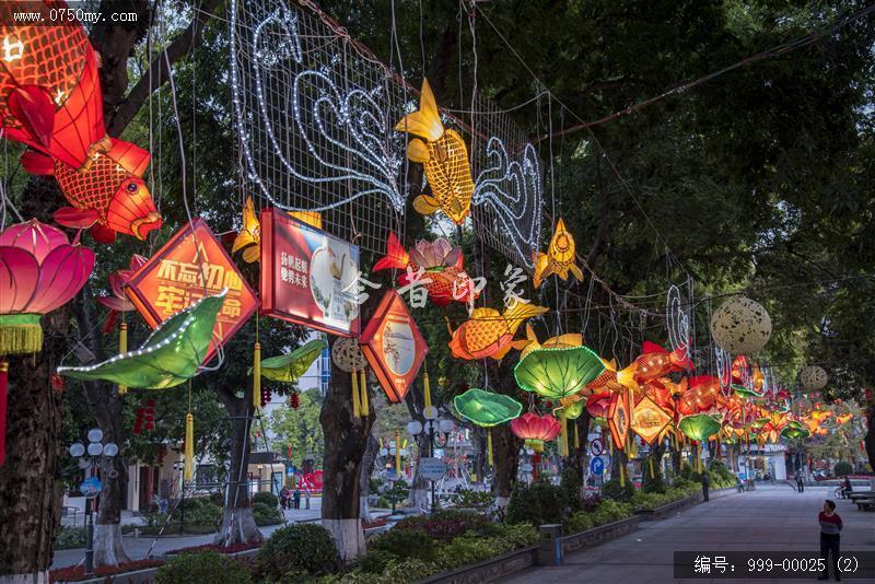 鱼灯_鱼灯,传统文化