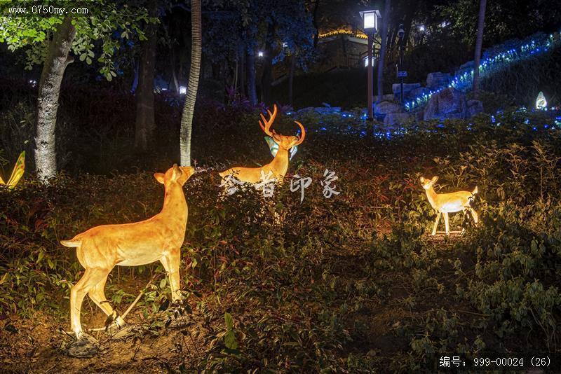 北园公园夜景_北园公园,夜景
