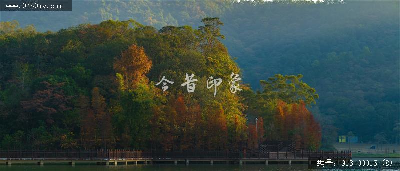 石涧水杉_自然环境