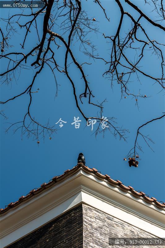 马山公园_马山公园,人居环境