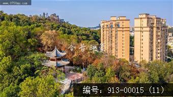 大云山公园