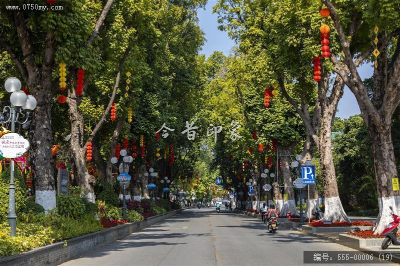 2021春节新会所见 (19)_布置,新年,新会,风光