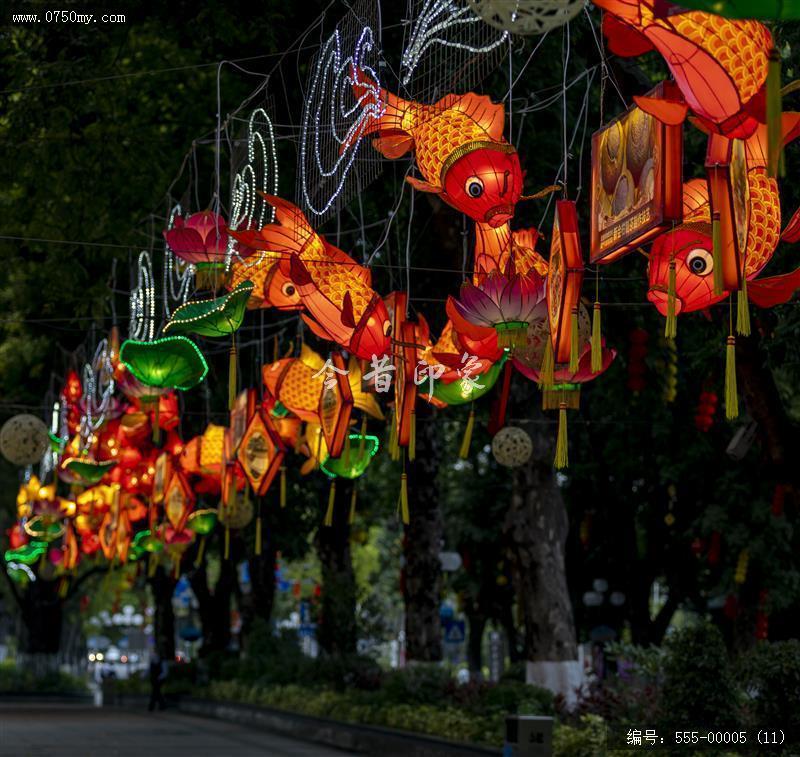 新会鱼灯 (11)_新会鱼灯,鱼灯,文化,传承,夜景,人民会堂,学宫