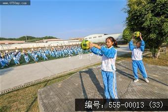 555-00013 (33)