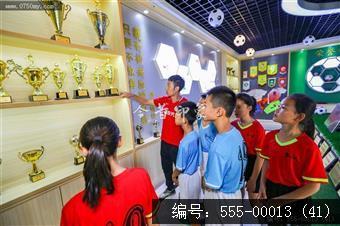 555-00013 (41)