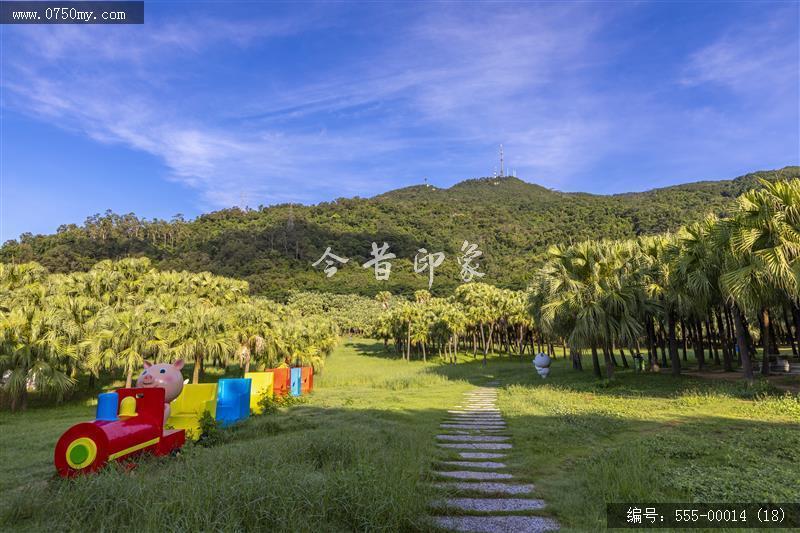 新会葵博园 _圭峰山,葵博园,葵树,葵艺,文化,传承,风光,风景