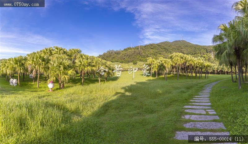 新会葵博园 _圭峰山,葵博园,葵树,葵艺,文化,传承,风光,风景