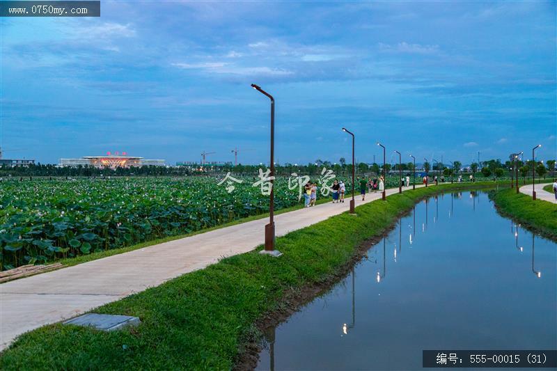 梅江农业生态园（一期） (31)_城市提质,梅江,生态,梅江农业生态园,荷花,休闲,绿色,运动