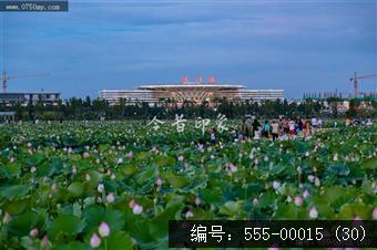 梅江农业生态园（一期） (30)