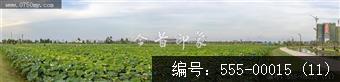 梅江农业生态园（一期） (11)