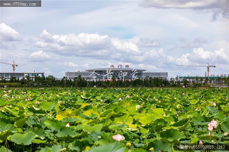 梅江农业生态园（一期）(21)_城市提质,梅江,生态,梅江农业生态园,荷花,休闲,绿色,运动