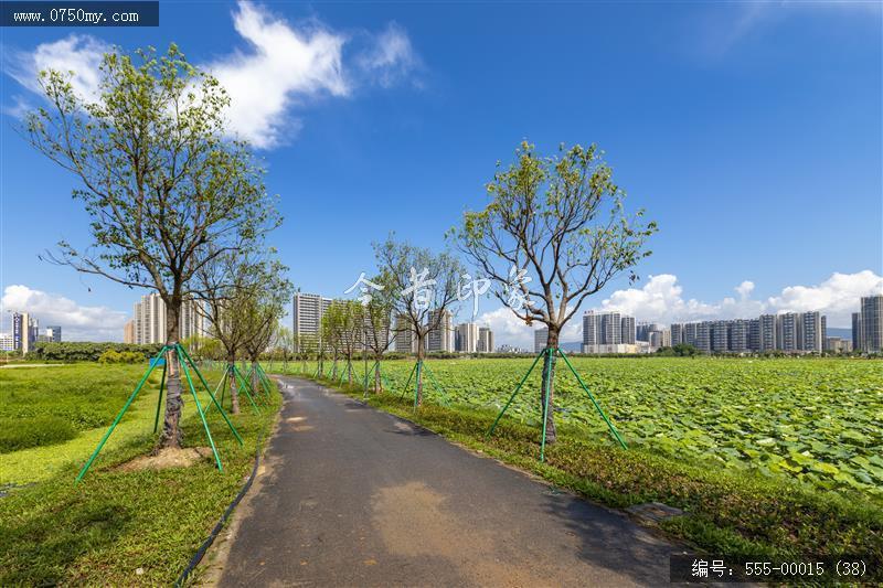 梅江农业生态园（一期） (38)_城市提质,梅江,生态,梅江农业生态园,荷花,休闲,绿色,运动