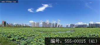 梅江农业生态园（一期）(41)