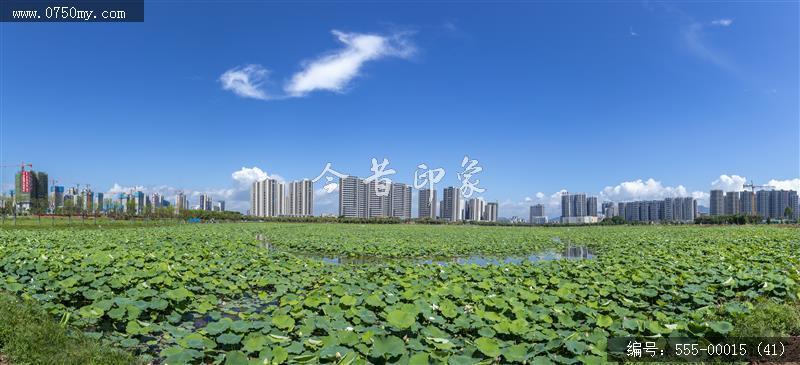 梅江农业生态园（一期）(41)_城市提质,梅江,生态,梅江农业生态园,荷花,休闲,绿色,运动