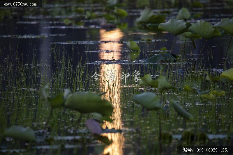 梅江生态园_人居环境,生态