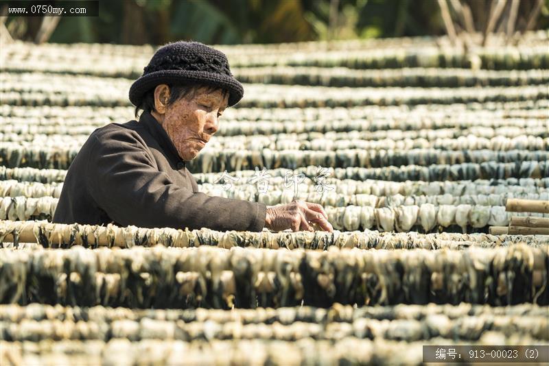 三江晒菜干_民生,传统,食品