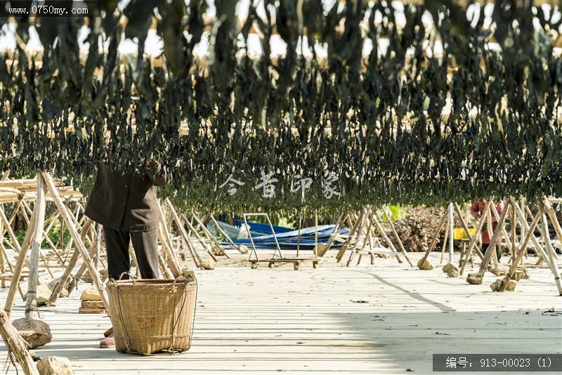 三江晒菜干_民生,传统,食品