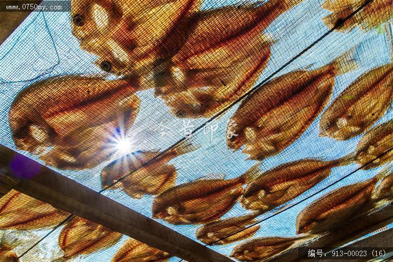 崖门晒鱼干_民生,食品,传统工艺