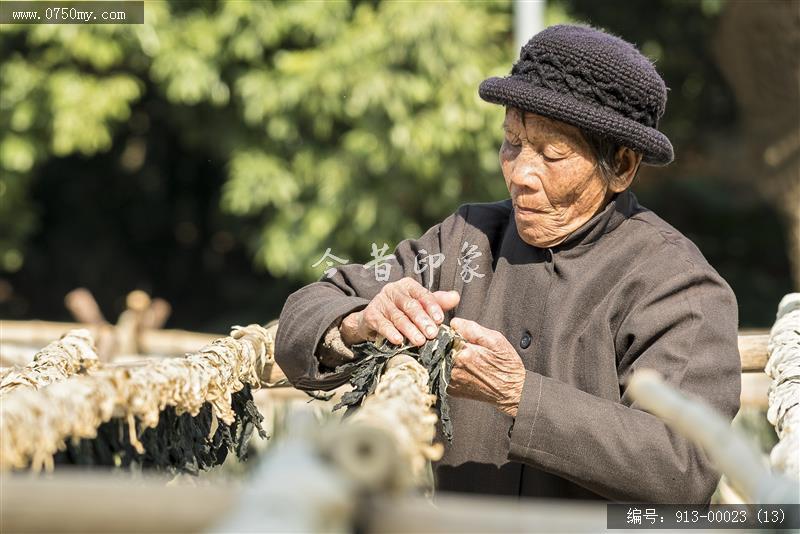 三江晒菜干_民生,传统,食品