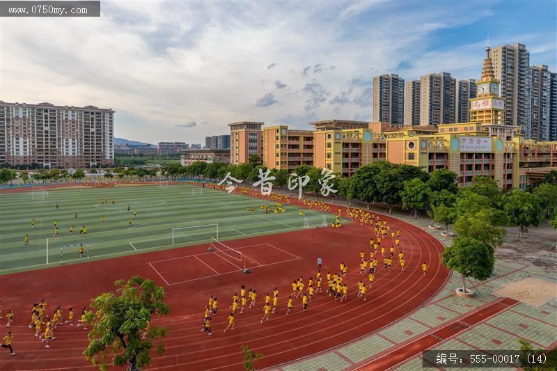 尚雅学校_校园,学校,风景,建筑,教学