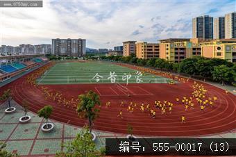 尚雅学校
