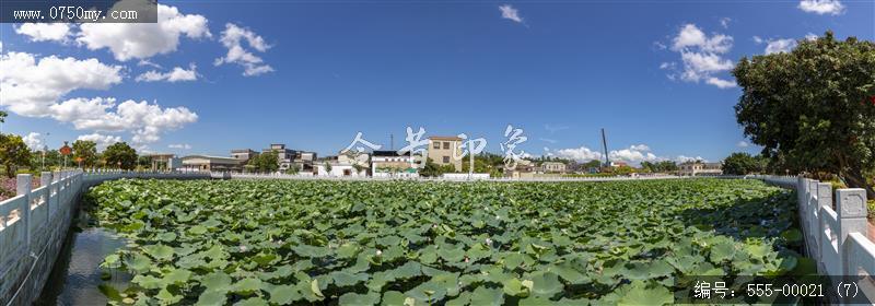 新会崖门坑口村_乡村振兴,新农村,党建,崖门,乡村旅游