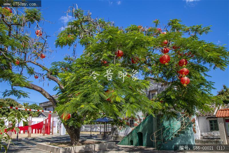 新会崖门坑口村_乡村振兴,新农村,党建,崖门,乡村旅游