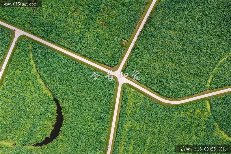 梅江生态园_航拍,人居环境