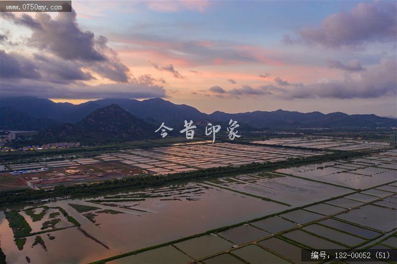 崖门镇银湖湾湿地_航拍,生态环境