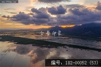 崖门镇银湖湾湿地