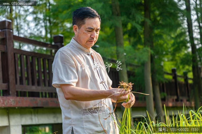非遗系列：白沙茅龙笔制作技艺(国家级)_非遗,书法,艺术,茅龙,大师,传承