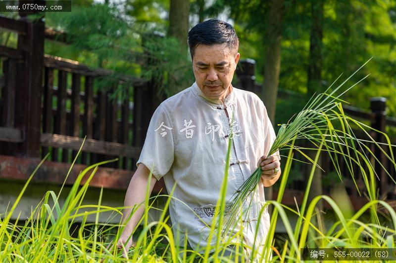 非遗系列：白沙茅龙笔制作技艺(国家级)_非遗,书法,艺术,茅龙,大师,传承