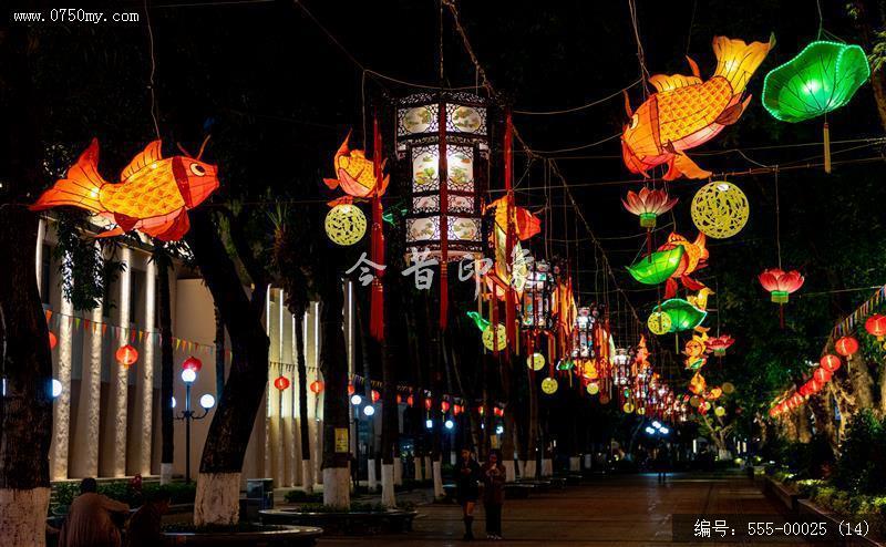 2022年会堂及周边鱼灯_鱼灯,非遗,文化,夜景,人民会堂,学宫