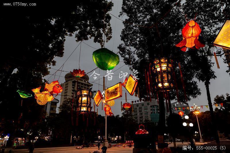 2022年会堂及周边鱼灯_鱼灯,非遗,文化,夜景,人民会堂,学宫