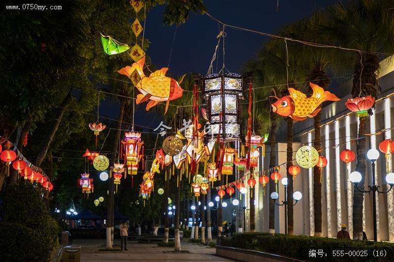 2022年会堂及周边鱼灯_鱼灯,非遗,文化,夜景,人民会堂,学宫