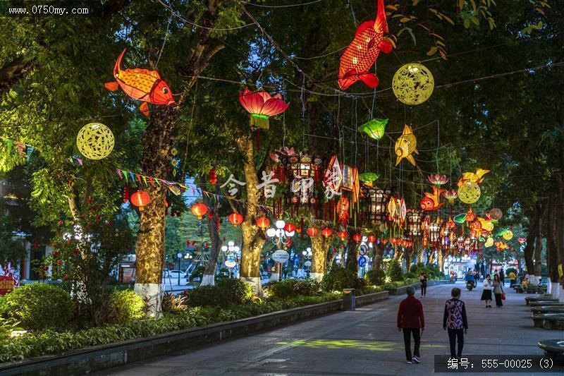 2022年会堂及周边鱼灯_鱼灯,非遗,文化,夜景,人民会堂,学宫