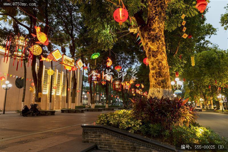 2022年会堂及周边鱼灯_鱼灯,非遗,文化,夜景,人民会堂,学宫