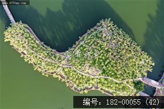 葵湖公园