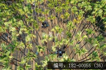 葵湖公园