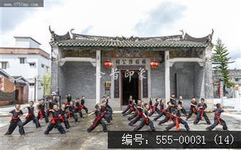 蔡李佛拳