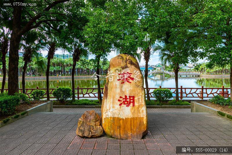 葵湖公园_葵湖,公园,绿色,生态,旅游,休闲,健身