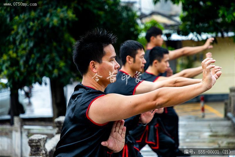 蔡李佛拳_非遗,功夫,武术,蔡李佛