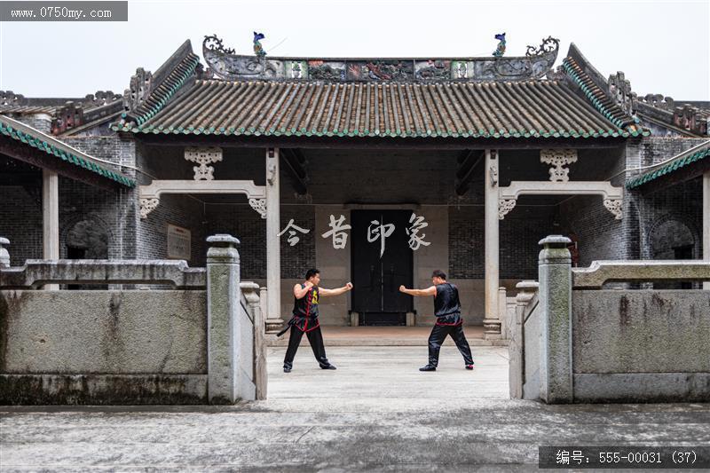 蔡李佛拳_非遗,功夫,武术,蔡李佛