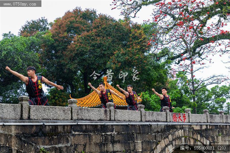 蔡李佛拳_非遗,功夫,武术,蔡李佛