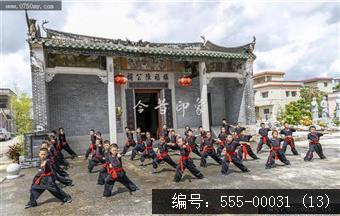 蔡李佛拳