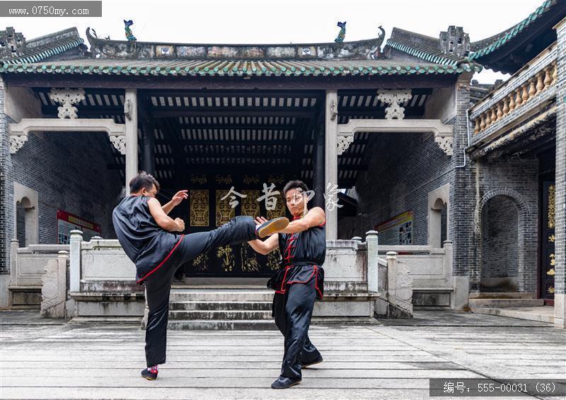 蔡李佛拳_非遗,功夫,武术,蔡李佛