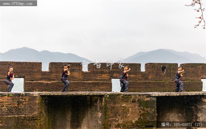 蔡李佛拳_非遗,功夫,武术,蔡李佛