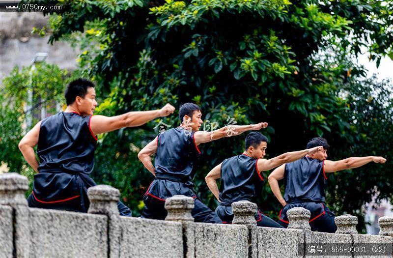 蔡李佛拳_非遗,功夫,武术,蔡李佛